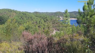 Land for sale in Sertã, Portugal — €36,000