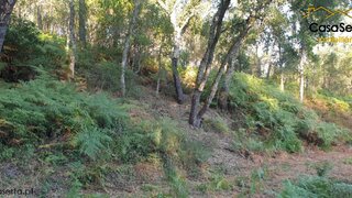 Land for sale in Sertã, Portugal — €30,000