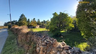 Terreno em Proença-a-Nova