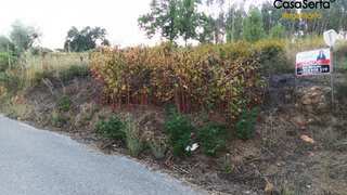 Land for sale in Sertã, Portugal — €5,500
