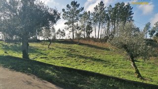 Land for sale in Sertã, Portugal — €24,000