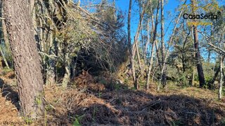 Land for sale in Sertã, Portugal — €4,000