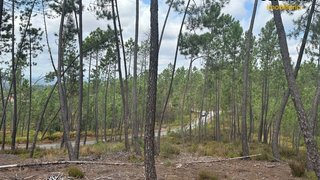 Land for sale in Sertã, Portugal — €45,000