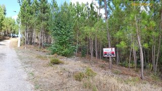 Land for sale in Sertã, Portugal — €10,000
