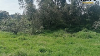 Land for sale in Sertã, Portugal — €20,000