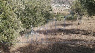 Land for sale in Vila Flor, Portugal — €27,000