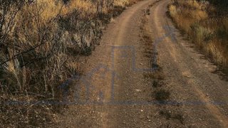 Land for sale in Torre de Moncorvo, Portugal — €30,000