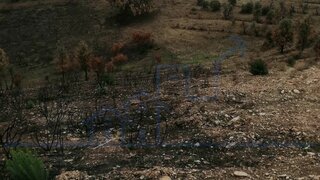 Terreno em Alfândega da Fé