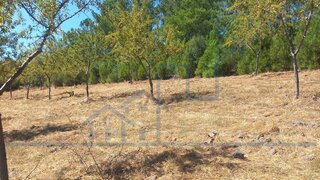 Land for sale in Felgueiras, Portugal — €22,000