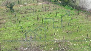 Land for sale in Freixo de Espada à Cinta, Portugal — €150,000