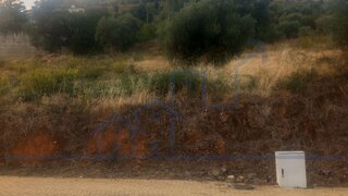 Land for sale in Torre de Moncorvo, Portugal — €28,000