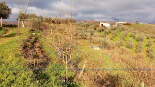 Land for sale in Alfândega da Fé, Portugal — €30,000