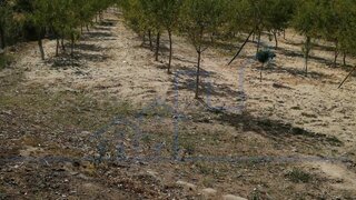 Land for sale in Torre de Moncorvo, Portugal — €29,000