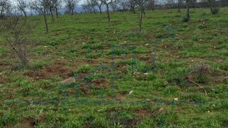 Land for sale in Vila Flor, Portugal — €30,000
