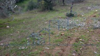 Terreno em Torre de Moncorvo