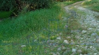 Land for sale in Torre de Moncorvo, Portugal — €50,000