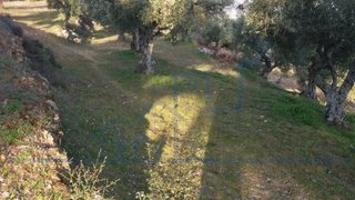 Land for sale in Torre de Moncorvo, Portugal — €12,000
