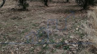 Land for sale in Alfândega da Fé, Portugal