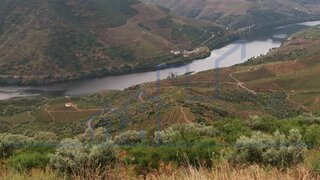 Land for sale in Torre de Moncorvo, Portugal — €80,000