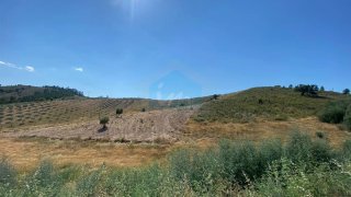 Land for sale in Mirandela, Portugal — €30,000