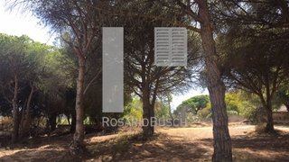 Land for sale in Loulé, Portugal — €2,275,000