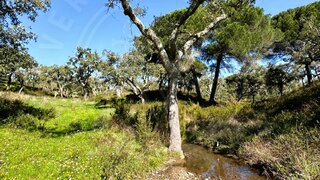 Land for sale in Santiago do Cacém, Portugal — €350,000