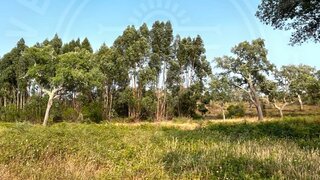 Land for sale in Grândola, Portugal — €400,000