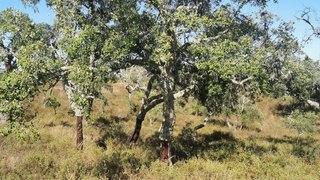 Land for sale in Santiago do Cacém, Portugal — €150,000