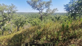 Land for sale in Santiago do Cacém, Portugal — €60,000