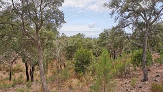 Land for sale in Grândola, Portugal — €800,000