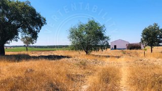 Land for sale in Ferreira do Alentejo, Portugal — €205,000