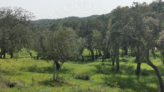 Land for sale in Grândola, Portugal — €390,000