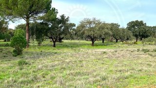 Land for sale in Grândola, Portugal — €140,000