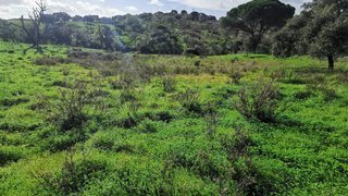 Land for sale in Grândola, Portugal — €320,000