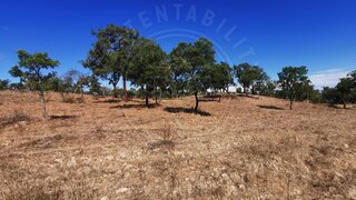 Land for sale in Grândola, Portugal — €1,070,000