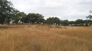 Land for sale in Grândola, Portugal — €1,000,000