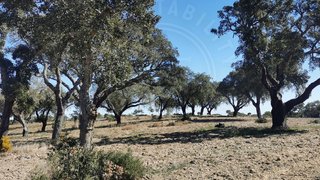 Land for sale in Grândola, Portugal