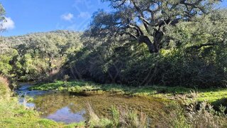 Land for sale in Grândola, Portugal — €360,000