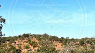 Land for sale in Santiago do Cacém, Portugal — €540,000