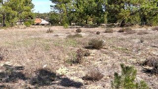 Land for sale in Grândola, Portugal — €370,000