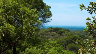 Land for sale in Grândola, Portugal — €550,000