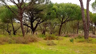 Land for sale in Grândola, Portugal — €2,900,000