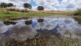 Land for sale in Grândola, Portugal — €595,000