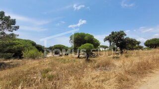 Terreno em Faro · 5320 m² · 1 300 000 €
