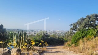 Terreno em Faro · 6100 m² · 45 000 €