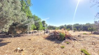 Land for sale in Loulé, Portugal — €375,000