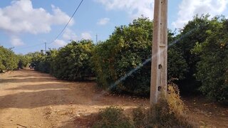Terreno de 19 520 m² em Faro