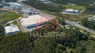 Terreno de 8000 m² em Leiria