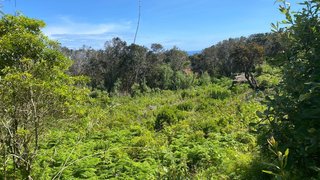 Land for sale in Horta, Portugal — €30,000