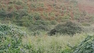 Land for sale in Horta, Portugal — €95,000